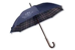 Exclusive Mist Umbrella