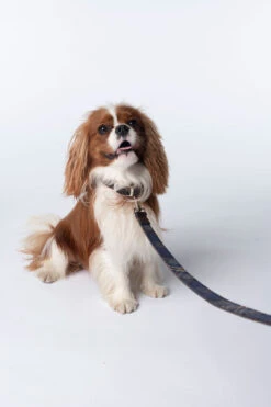 ARRAN MIST TARTAN DOG LEADS