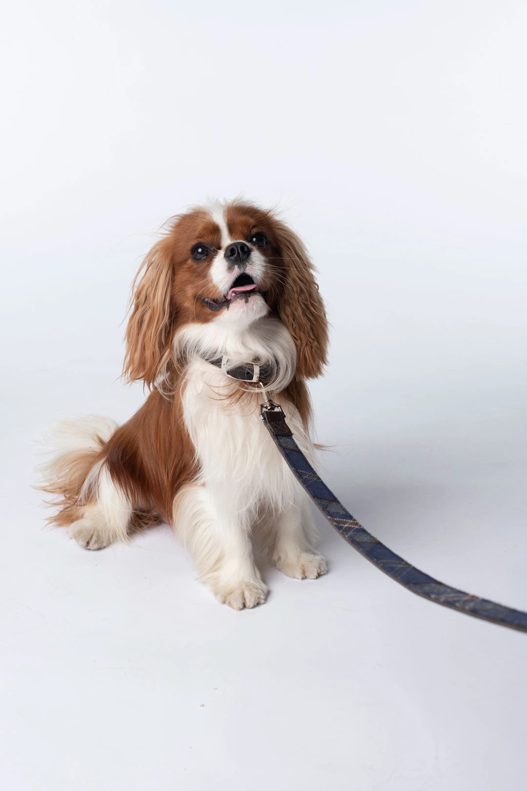 ARRAN MIST TARTAN DOG LEADS 3 ARRAN MIST TARTAN DOG LEADS